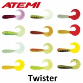Atemi Twister