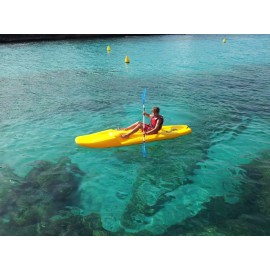 Whaly Funboard Whaly Funboard