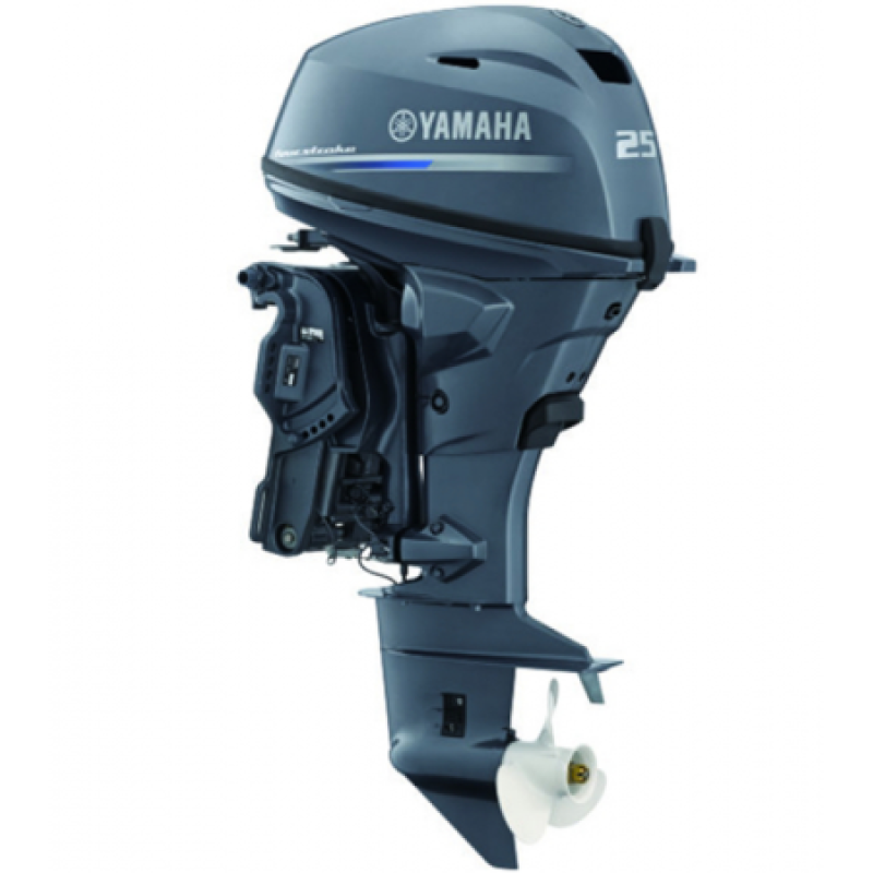 Yamaha F25GETS
